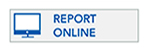 Report your Lost or Stolen Passport Online