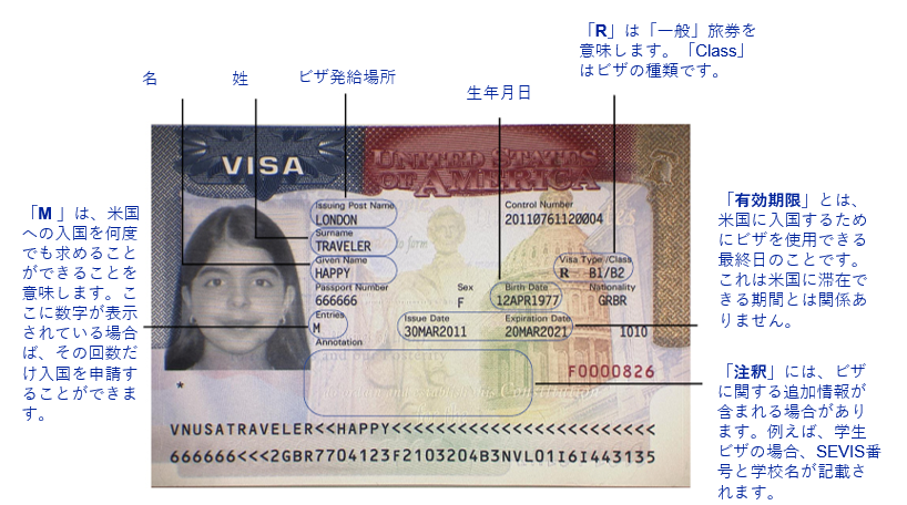 1749738712643.jpg